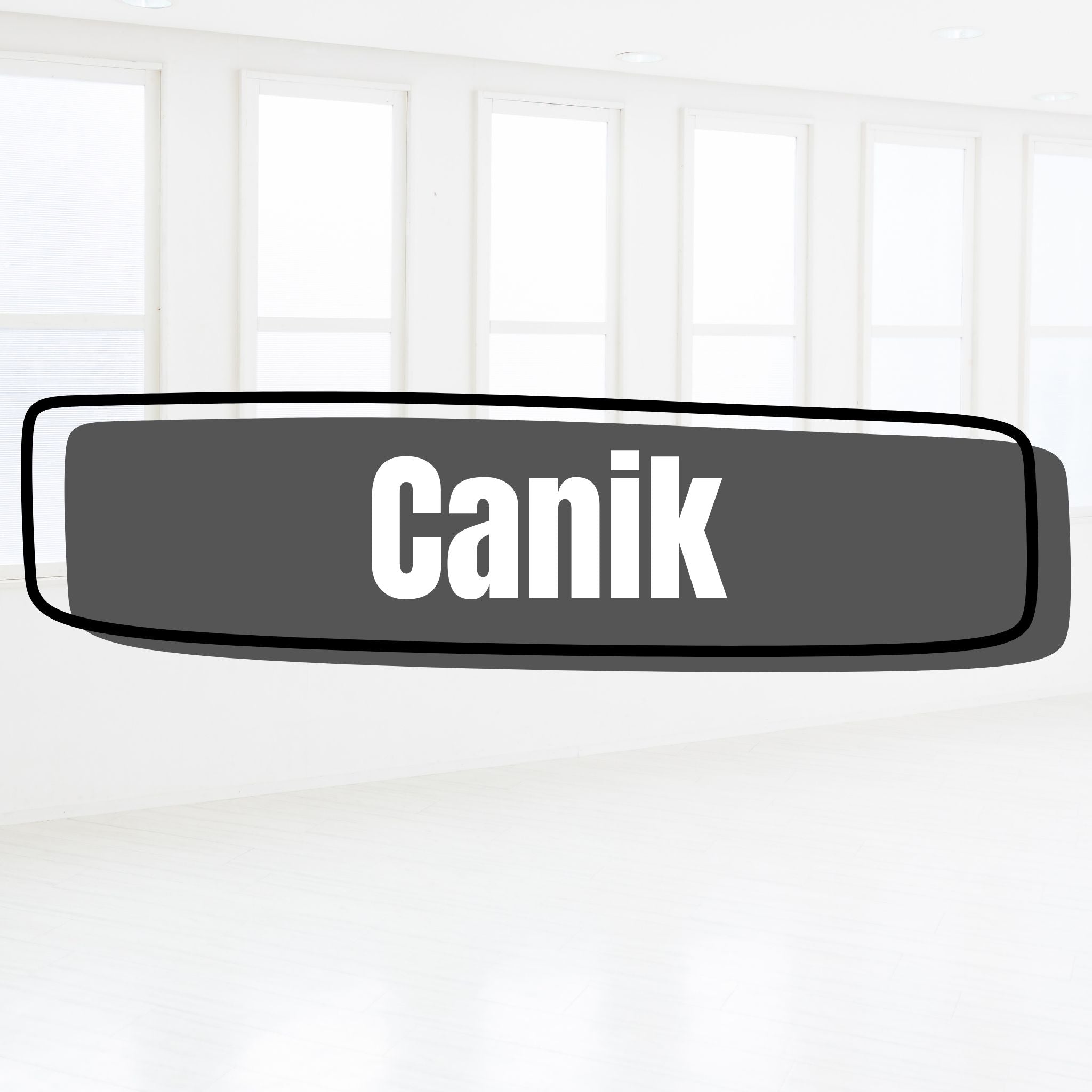 Holsters for Canik