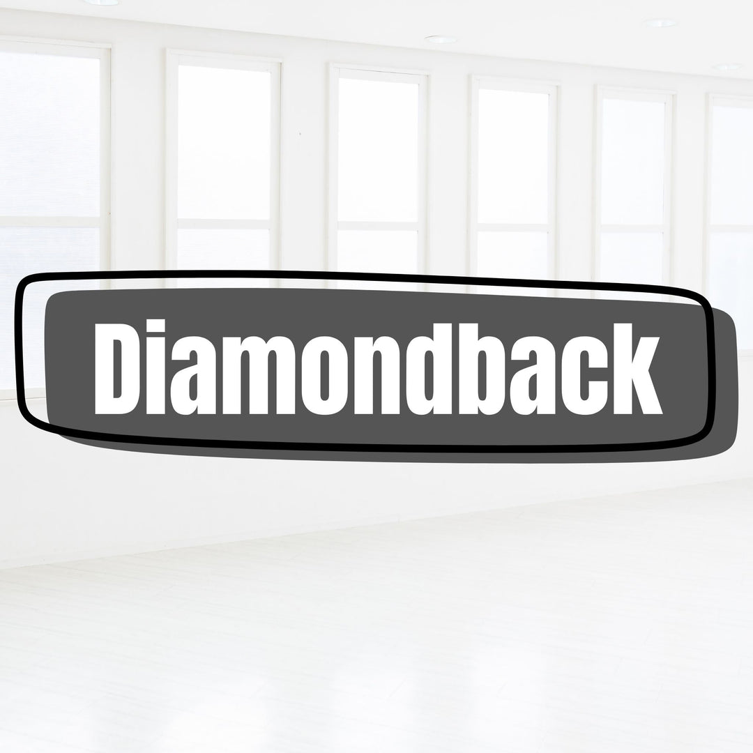 Holsters for Diamondback DB380