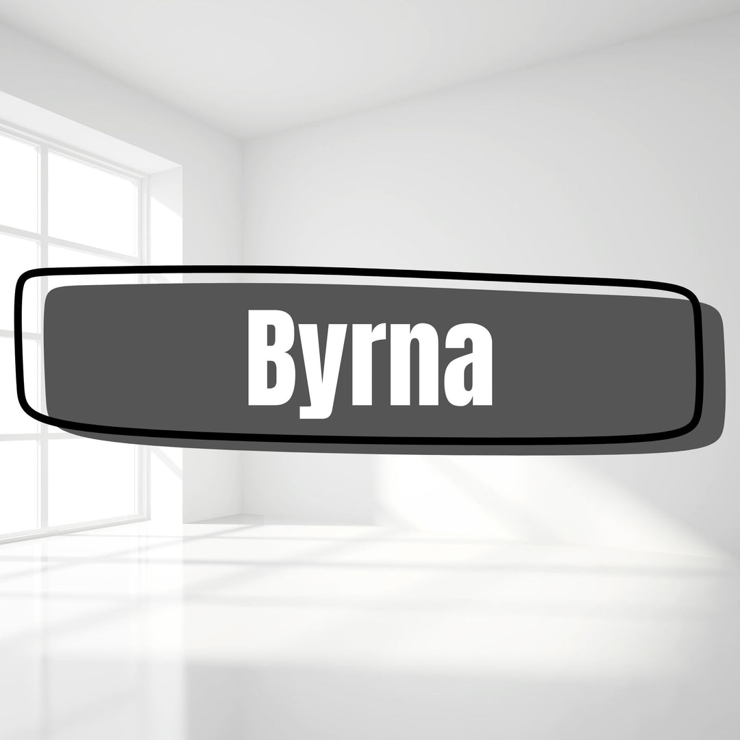 Holsters for Byrna