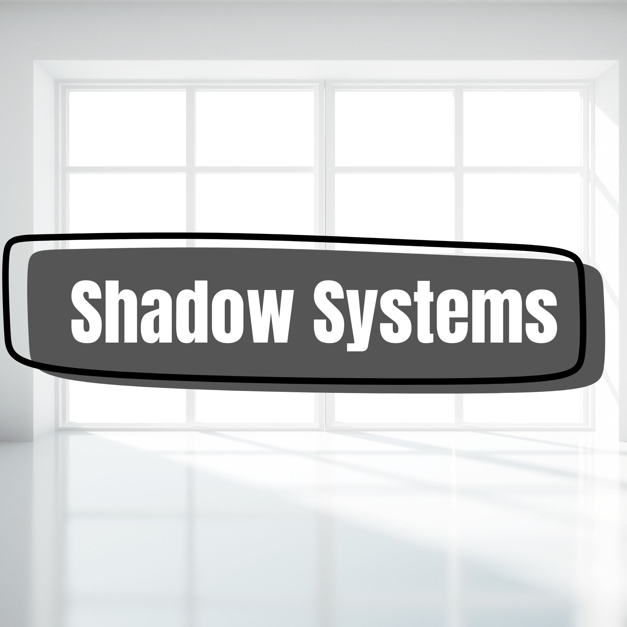 Holsters for Shadow Systems