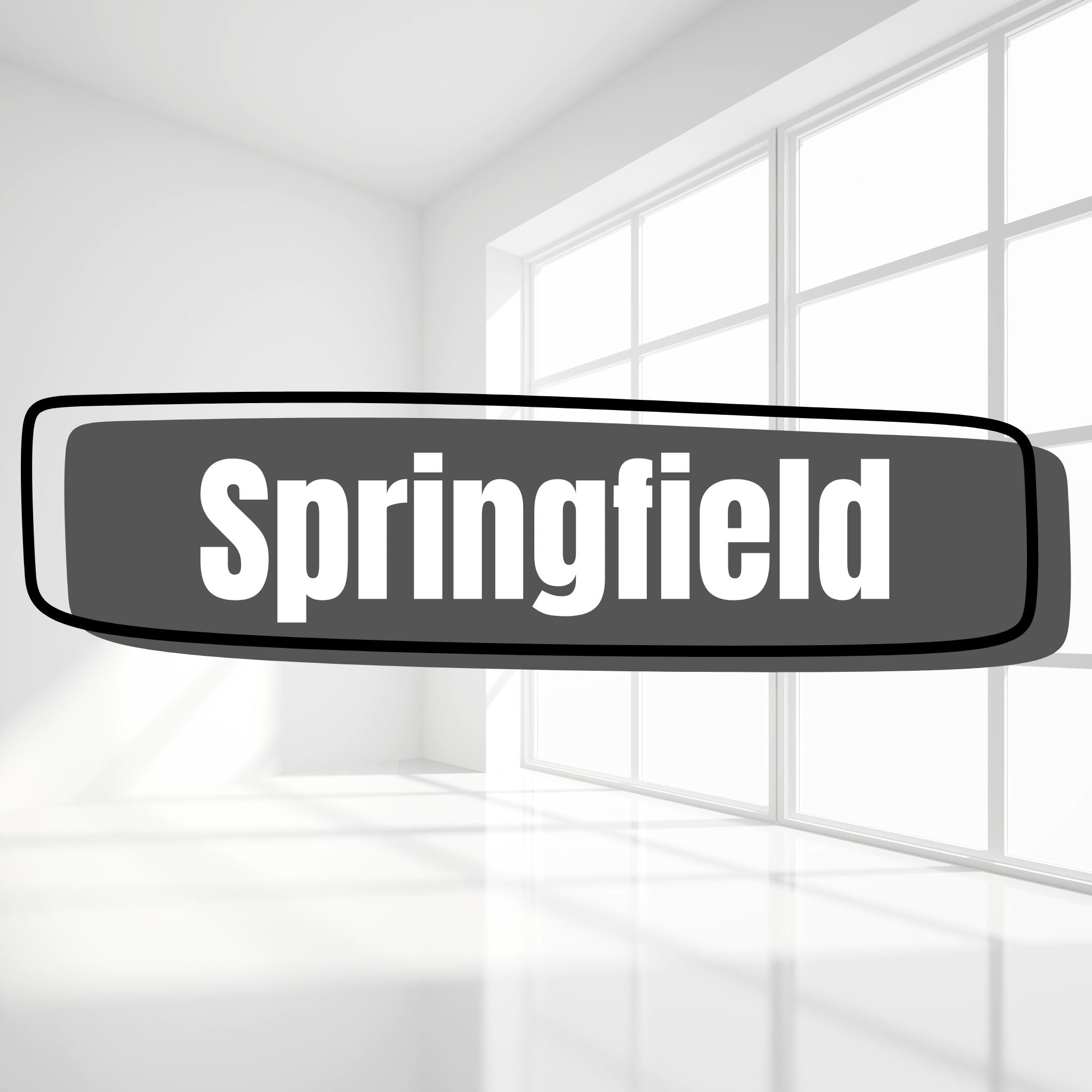 Springfield XDS Holsters for Women